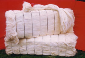 Natural Sisal Fiber